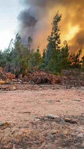 Emergency callout! Lewis Fire Team A has been deployed to Wolseley to tackle the wildfire and safeguard our community. Let’s support our brave firefighters as they work tirelessly to protect the area! 🌲🔥 #LewisFireTeamA #WildfireFighting #CommunitySupport #BraveryInAction #Wolseley #NCC #WitzenbergMunicipality | Lewis Bush Clearing and Alien Firefighting