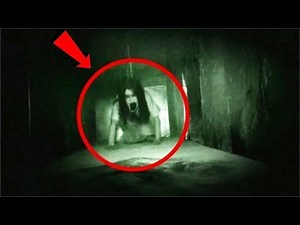 They FOUND this evil creature living in the Walls of my House! (secret room)