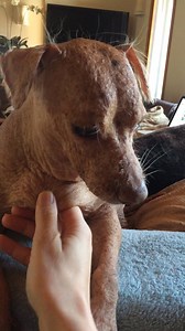 4.1K views · 977 reactions | THANK GOODNESS IT'S FRIDAY We had our...