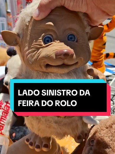 Descubra Achados Inusitados na Feira do Rolo