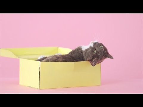 Female Sexual Anatomy | Vulva, Vagina and Breasts