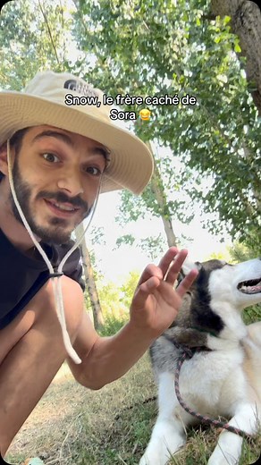 Aujourd’hui, découvrez La vie de Snow 🐾 Un chien, une légende… et peut-être le frère caché de Sora 🐶 #fyp #husky | Thomas EtSnow