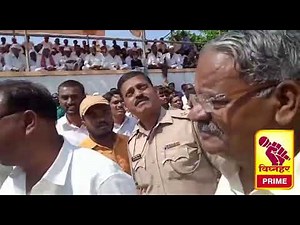 आवड बैलगाडा शर्यतीची