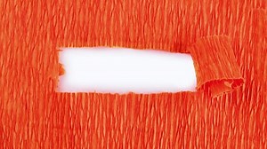 Arrière-plan à texture orange sous lequel : vidéo de stock (100 % libre de droit) 3995254203 | Shutterstock