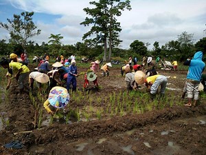 18 Poin SDGs Desa Dan Rekonstruksi Paradigma Pembangunan Berkelanjutan | Lembaga Gemawan