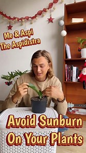 How to avoid sunburning your plants #shorts