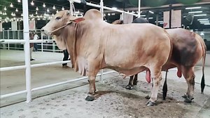 RK Agro | Contact - 01970020180‬ | RK Agro Farm Limited