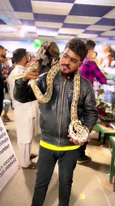 3.3K views · 45 reactions | Python Snake  #anaconda #python #snake #pet #apnabirdscenter #owaiskhan #fypシ #mypet #foryou #karachi #fypシviralシ2024 | Apna Birds Center | Facebook