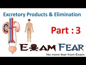 Excretion in Animals Video Lecture | Biology for JAMB