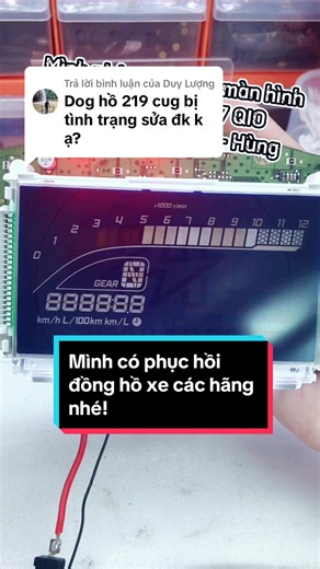 HShares trên TikTok