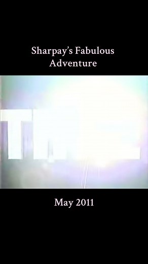 Sharpay’s Fabulous Adventure May 2011 #disneychannel #fypシ #disney #nostalgic #may #hsm #nostalgia #pov #foryoupage #dcom #fyp