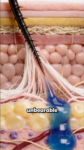 NEVER Get Stung By a Bullet Ant ❌️🐜 #macro #gross #insects