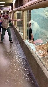 Giant Python Zoo Breakout! | Paul & Friends