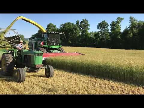 Domai MPD-612 Direct Cut Head