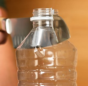 Transform Your Old Items into Creative and Useful with Simple Ideas | 5-Minute Crafts Green