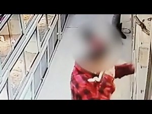 Stjeler pytonslanger fra dyrebutikk