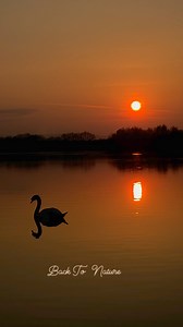 Beautiful sunset 🌞 Back To Nature Group #BackToNature_OwnPhotos #backtonature #BackToNature_OwnVideo | Back To Nature