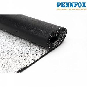 [Hot Item] PE Film Surfaced Torch-on Bitumen Membrane