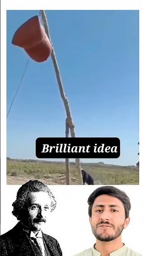 Simple Machines | Load, Fulcrum, and Effort Explained! #physicswallah