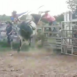 1.1K views · 57 reactions | Touro Combinado máquina de pulos da...