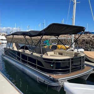 China Factory Boat Pontoon 15FT-29FT Cabin Cruiser Luxury Yacht Aluminium Pontoon Boat with Motor