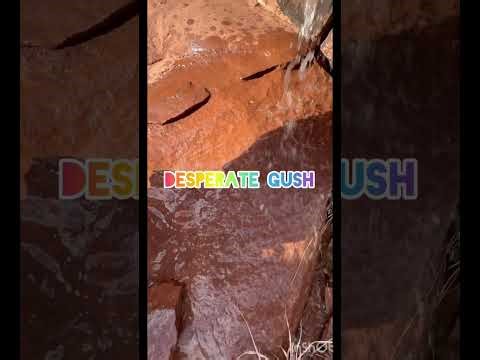 Variety Pee Compilation