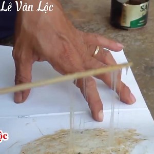 67K views · 475 reactions | Đơn giản mà hiệu quả cao  Cách chế keo siêu dính chuột, keo bẫy ruồi, keo bẫy chim, thạch thùng ....từ mủ mít. Nguồn : Lê Văn Lộc _ _ Full : https://youtu.be/3QKpJ9jlNO0 | Thánh mẹo VN | Facebook