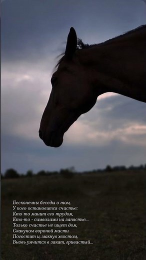 мои стишата каждый день в канале ‪@АнастасияЗвонкая‬