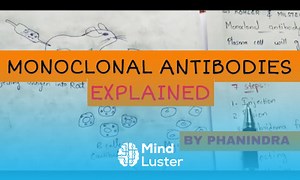 Mind Luster - Learn Monoclonal antibodies Hybridoma technology