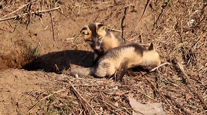 Chris Artist Photography on Reels | Facebook