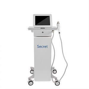 [Hot Item] Secret Portable Micro Needle Gold RF Fractional Machine for Skin Therapy