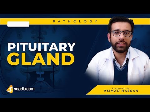 Pituitary Gland | 1. Hypopituitarism | Medical Pathology | Video Lecture | V-Learning