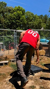 Compost Box Reveal! We are trying something new 😎 How do you compost? #blackyardchickenz #EggcellentAdventures #farmlife #composting #homesteadlife | BlackYard Chickenz