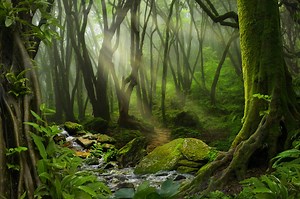 Merkle-Trees: Datenintegrität kryptografisch beweisen