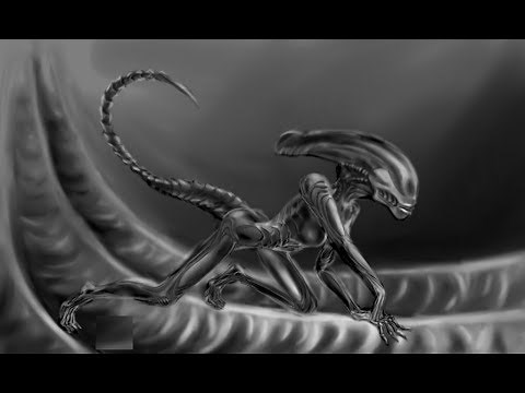 Sexy Alien Girls. An Out-OF-This-World Collection