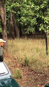 61K views · 469 reactions | Tiger attacks an elephant #trending #fyp #jungle #wildlife | Ranthambhorewildlife | Facebook