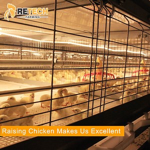 [Hot Item] Factory Supply Automatic Chicken Catching Stacked Poultry Broiler Cage