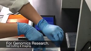 Transilluminator - UV Transilluminator Latest Price, Manufacturers & Suppliers