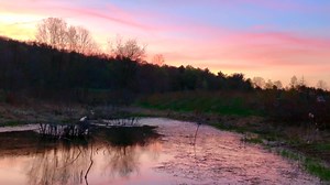 What's better on an April evening than a spring peeper chorus? A spring peeper chorus and a sunset! Here are the sights and sounds from Quonquont Farm tonight. #quonquontfarm | Quonquont Farm