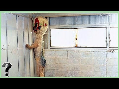 What If SCP 173 Was Real?