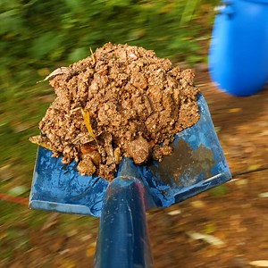 Crystal Extraction in Forest | Hungry Panda