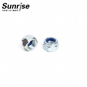 [Hot Item] DIN985 M3 M4 M5 M6 M8 M10 M12 Nylon Insert Lock Nut