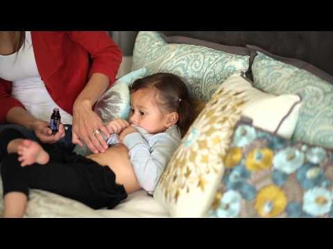 doTERRA® DigestZen® Oil Uses and Benefits