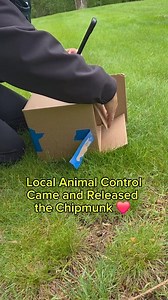 The chipmunk 🐿 is home safe! Thanks to Billerica & Tewksbury Animal Control and Newhouse Wildlife Rescue ! Some people may say this is only a chipmunk. But when you see any animal shivering and helpless, I dont care what it is, I think everything deserves a chance. Not only did animal control come and get the chipmunk, she also brought it to a local wildlife rescue to bring it back to life for a couple of days. After it was ready, she picked it back up and brought it all the way back home 🏡. T