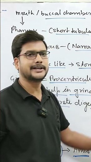 Digestive system of cockroach 🪳🪳