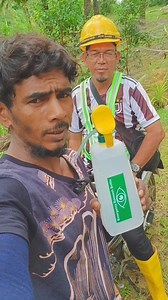 7K views · 206 reactions | সকালবেলা ফল সংগ্রহ করতে লেগে চোখের মধ্যে ময়লা যায়। আমার সুপারভাইজার আমার জন্য ওষুধ নিয়ে আসছে কিভাবে ওষুধটা ব্যবহার করব এই ভিডিওতে দেখাবো | Mdomar Probash Jele | Facebook