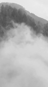 1K views · 16 reactions | Daily Declarations: Precious Blood #joanhunter⁠ #dailydeclarations⁠ #declarationswithjoan | Joan Hunter | Facebook