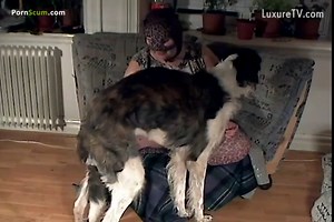 Woman jerking off saluki