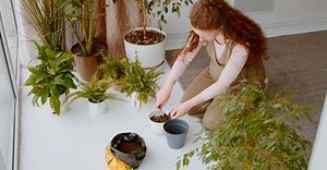 Video by Matilda Wormwood on Pexels