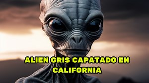 2.4K views · 108 reactions | ALIEN GRIS CAPATADO EN CALIFORNIA | El conocimiento prohibido | Facebook